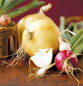 Onion - پیاز گیاهی با خواص دارویی بسیار زیاد   - متا